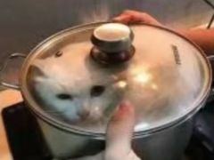 -食彩美印度特色美食餐厅·印度料理