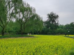 -北坞公园