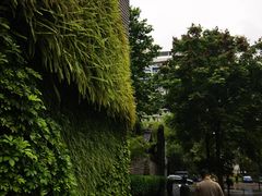 -成都博舍酒店