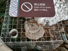 -广州神农草堂中医药博物馆