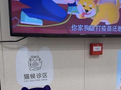 -芭比堂动物医院·心脏科·老年急重症·夜诊·吉雅分院