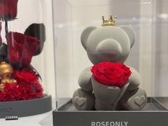 -ROSEONLY诺誓(广州K11店)