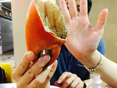 -龙海鲜螃蟹王(宏茂桥店)
