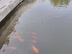 -章樾公园
