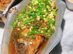 香辣炝锅鱼-树厨贵州菜(大十字店)