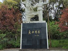 -东平国家森林公园