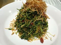巧拌豆苗-四季民福烤鸭店(王府井灯市口店)