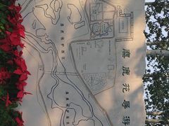 -北京麋鹿生态实验中心