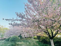 -天鹅湖体育公园