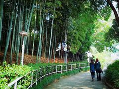 -上海市保健医疗中心(华东疗养院)