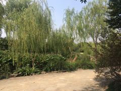 -杭州城北体育公园