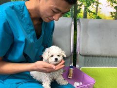 -瑞派宠物医院·24h·骨外科·皮肤科·全科宠物医疗转诊中心(沈阳浑南院)