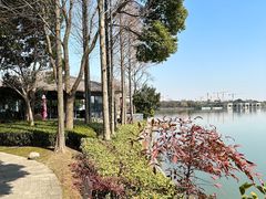 -逸林轩中餐厅(中信泰富朱家角锦江酒店)
