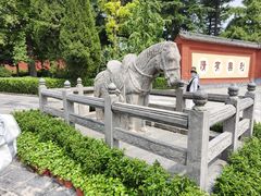 -洛阳白马寺