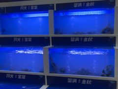 -蟹状元大闸蟹·年货·粽子(成都成华店)