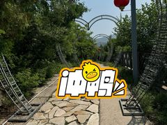 -八奇洞景区