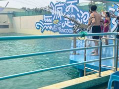 -秦皇岛乐岛海洋王国