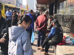 -哈尔滨道外花鸟鱼市场