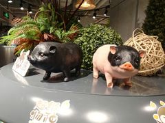 -超级物种(省府店)