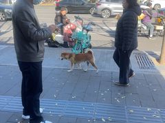 -秋栗香(地安门店)