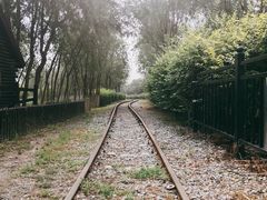 -西青郊野公园