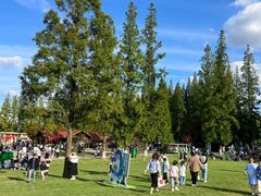 -黄海国家森林公园