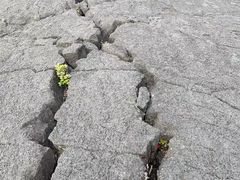 -夏威夷火山国家公园