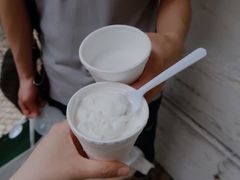 -洪馨椰子