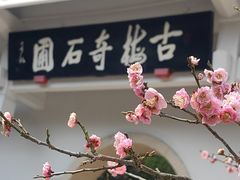 -无锡梅园公园