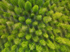 -泗洪洪泽湖湿地景区