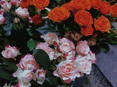 -循礼门鲜花花市(武汉循礼门店)