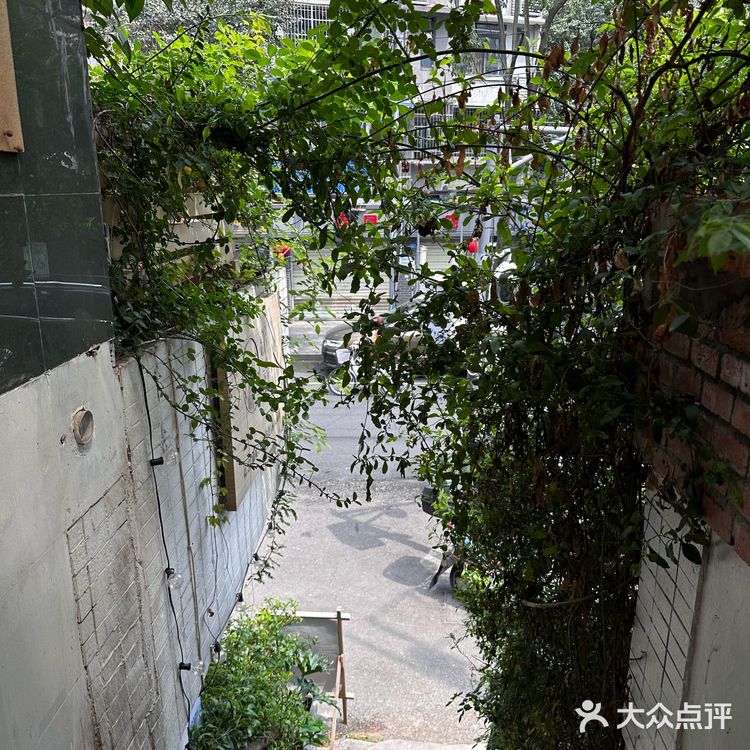 这家咖啡店 太悠闲了吧