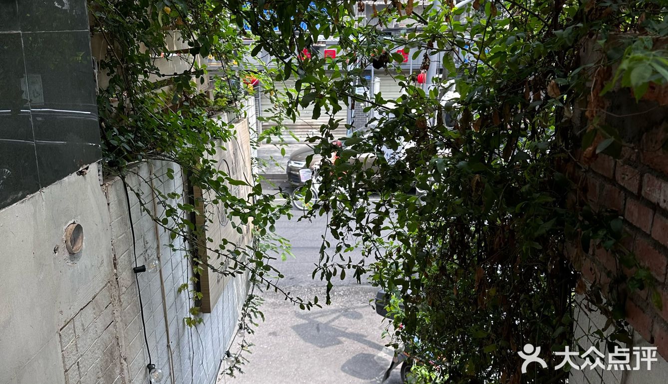 这家咖啡店 太悠闲了吧
