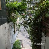 这家咖啡店 太悠闲了吧