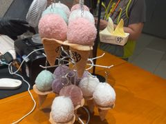 -野人先生现做冰淇淋(北京环宇荟店)