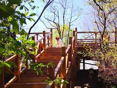 -大岭沟猕猴桃谷风景区