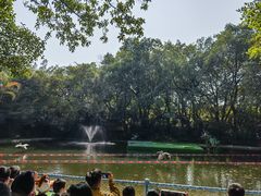 -广州长隆飞鸟乐园