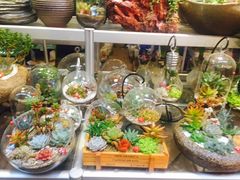 -双季花艺园艺市场(浦东店)