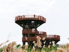 -芒洲湿地公园