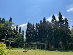 -重庆雨台山风景区