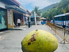 -三亚南山文化旅游区