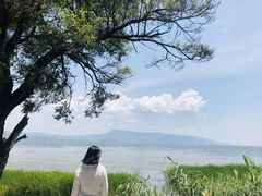 -大理洱源西湖景区