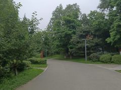 -长白岛森林公园