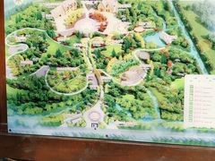 -合肥滨湖国家森林公园