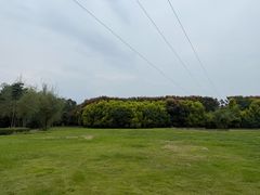 -白鹭湾湿地公园