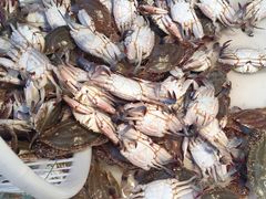 -新隆嘉 供销超市(修竹商场店)