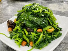 八宝菠菜-同发号饭庄(复兴路店)