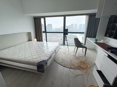 -Liteclear日本进口强效除甲醛检测治理(旗舰店)
