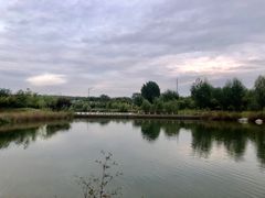 -淇河国家湿地公园