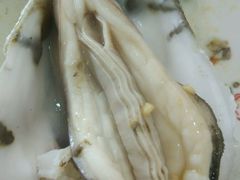 蚝-蚝专家(北滘店)